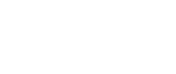 APL LOGO
